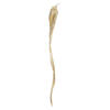 Vickerman 36-38" Sea Kelp, Dried - view 1 of 4