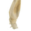 Vickerman 36-38" Sea Kelp, Dried - view 4 of 4