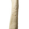 Vickerman 36-38" Sea Kelp, Dried - view 3 of 4