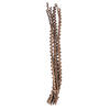 32-36" Natural Ladder Branches - 7/Pk - view 1 of 8