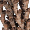 32-36" Natural Ladder Branches - 7/Pk - view 3 of 8