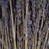 12"-18" Lavender Bundle -  4oz - view 3 of 4