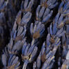 12"-18" Lavender Bundle -  4oz - view 2 of 4