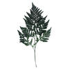 12-15" Green Leatherleaf Fern Stem 6/Pk - view 2 of 4