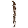 36-44" Natural Curled Ladder Branch 5/Pk - view 1 of 4