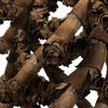 36-44" Natural Curled Ladder Branch 5/Pk - view 3 of 4