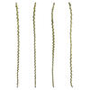 Vickerman Ladder Branches, Dried - view 1 of 3