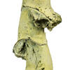 Vickerman Ladder Branches, Dried - view 2 of 3