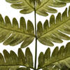 18-20" Basil Ombre Fern Stems - 6/Pk - view 3 of 4