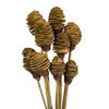 Vickerman Platy Cone attached to a Reed Stem, Dried - view 2 of 5