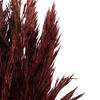 Vickerman 36"-40" Plume Reed Bundle, Preserved - view 5 of 5
