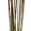 Vickerman 36"-40" Plume Reed Bundle, Preserved - view 4 of 5