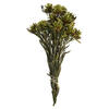 Vickerman 8"-20" Plumosum Bundle, Female, Preserved - view 1 of 7