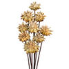 Vickerman 20" Plumosum Head attached to a Brown Stem, Dried 9 Stems - view 2 of 4