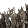 Vickerman 18-20" Pubescens Bundle, Preserved 5oz - view 5 of 5