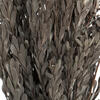 Vickerman 18-20" Pubescens Bundle, Preserved 5oz - view 4 of 5