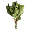 Vickerman 16-22" Natural Botanicals Salal Foliage Bunch - view 1 of 4