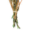 Vickerman 16-22" Natural Botanicals Salal Foliage Bunch - view 4 of 4