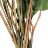 Vickerman 16-22" Natural Botanicals Salal Foliage Bunch - view 3 of 4