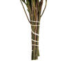 12" Green Salignum Bundle 7 oz - view 5 of 5