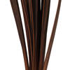 Vickerman 18-30" Snake Grass, Dried - 36 Stems - view 3 of 5