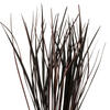 Vickerman 28" Splinter Grass, 11oz Dried - view 2 of 4