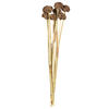 Vickerman 18-24" Natural Spider Knobs on Reed Stem - view 1 of 5