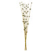 Vickerman 36-40" Star Bamboo Reed Stem, Dried - view 1 of 4