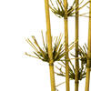 Vickerman 36-40" Star Bamboo Reed Stem, Dried - view 4 of 4