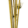 Vickerman 36-40" Star Bamboo Reed Stem, Dried - view 3 of 4