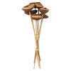 Vickerman 15" Tigela Pod attached to a Wood Stem, Dried 7/Pk - view 1 of 4