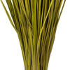24-30" Basil Whip Grass Bundle - 8 oz - view 4 of 4