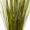 24-30" Basil Whip Grass Bundle - 8 oz - view 3 of 4