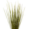24-30" Basil Whip Grass Bundle - 8 oz - view 2 of 4