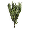 18" Green Willow Eucalyptus 5oz Bundle - view 1 of 4