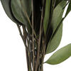 18" Green Willow Eucalyptus 5oz Bundle - view 3 of 4