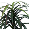Vickerman Artificial Marginata Extra Full Series - view 5 of 6
