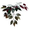 Vickerman Artificial 6' Capensia Potted Tree - view 3 of 4