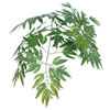Vickerman Artificial Ming Aralia Bush - view 3 of 6