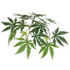 Vickerman Artificial Japanese Maple Series - view 3 of 5