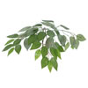7' Ficus Executive Round Gray Container - view 2 of 3