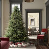 Vickerman Itasca Frasier Artificial Christmas Tree - view 2 of 7