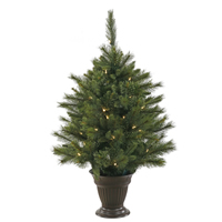 Trees B/O
