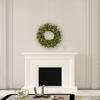 Vickerman Artificial 30" Cashmere Pine Wreath Battery Operated - view 2 of 4