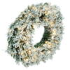 Vickerman Artificial Flocked Snow Ridge Wreath - view 4 of 7