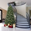 Vickerman Colorado Spruce Slim Artificial Christmas Tree - view 2 of 3