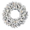 Vickerman Artificial Frosted Silver Wreath Wreath - view 1 of 3