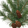Vickerman Artificial Cheyenne Pine Swag with Pinecones - view 2 of 2