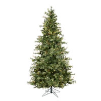 Slim Trees