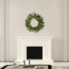 Vickerman Artificial Mixed Country Pine Wreath - view 2 of 3